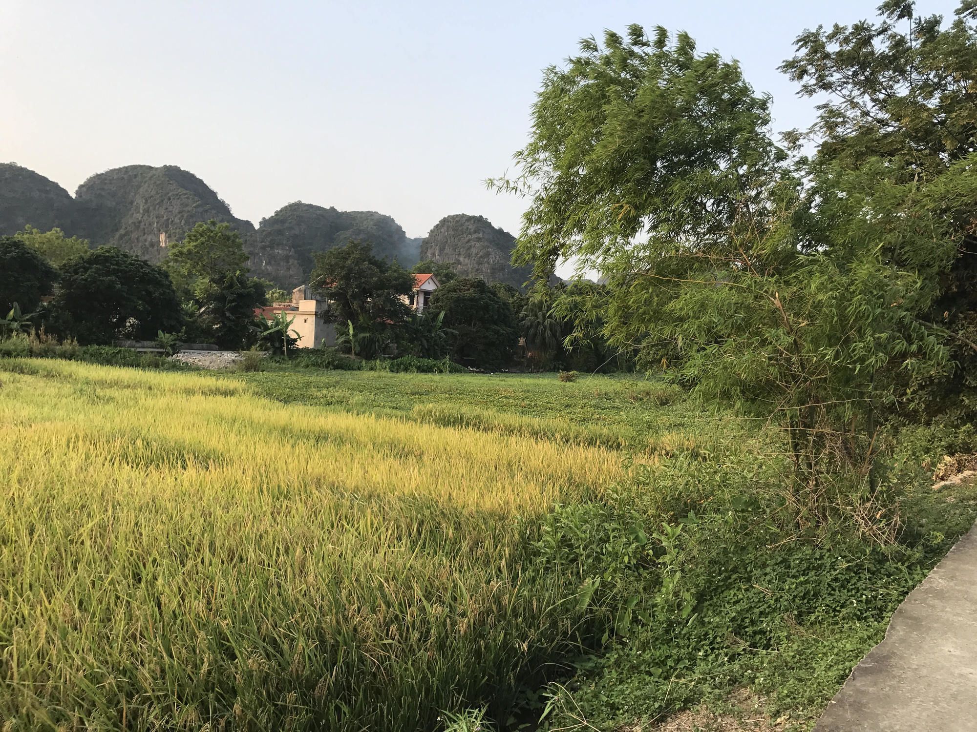 Tam Coc Garden Homestay Нин Бин Екстериор снимка