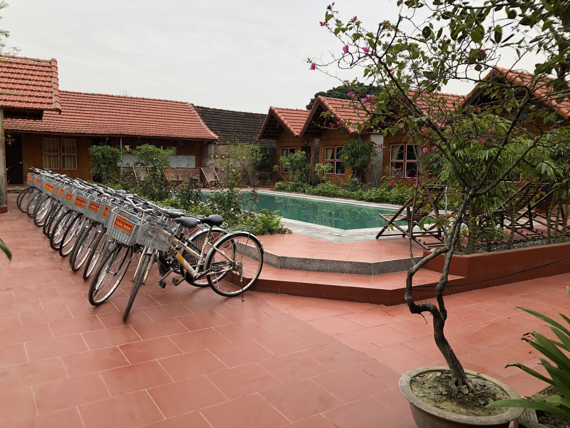 Tam Coc Garden Homestay Нин Бин Екстериор снимка