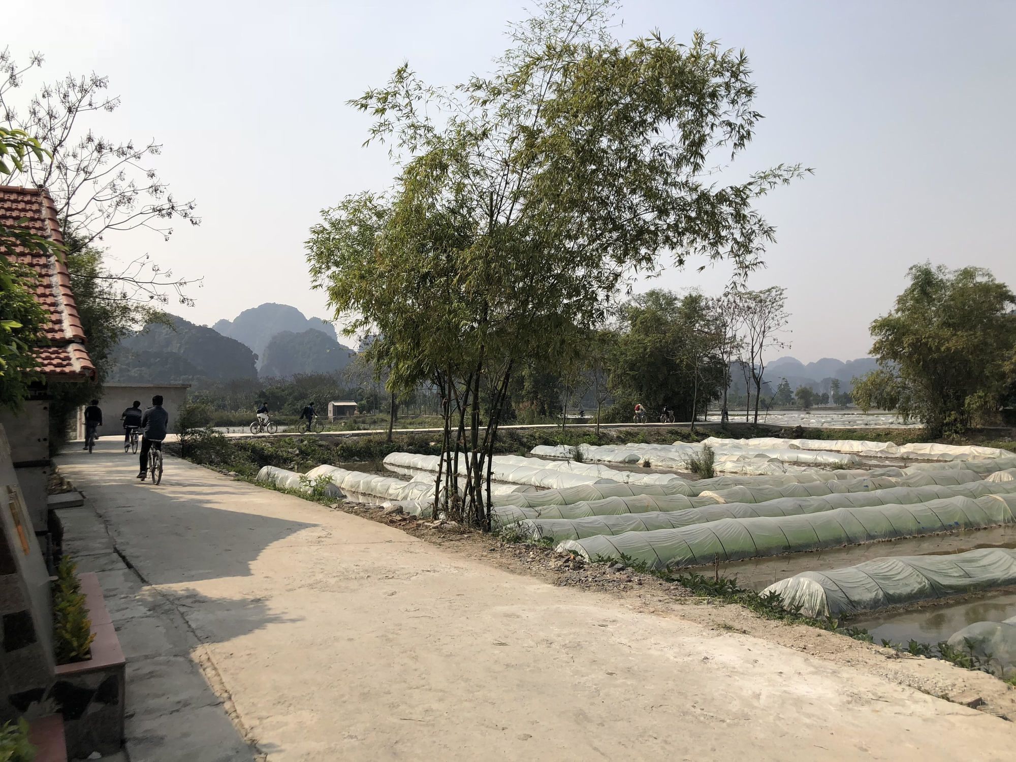 Tam Coc Garden Homestay Нин Бин Екстериор снимка